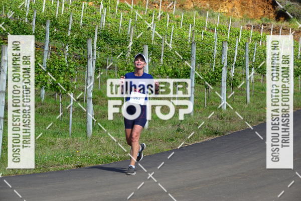 Buy your photos of the eventCIRCUITO DOS VINHEDOS - VINHOS DE ALTITUDE on Fotop