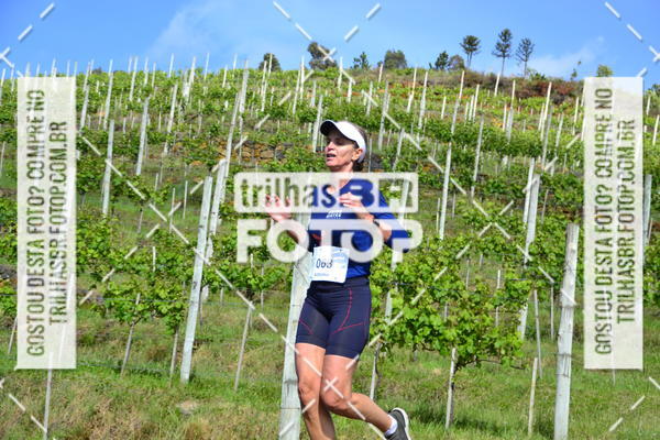 Buy your photos of the eventCIRCUITO DOS VINHEDOS - VINHOS DE ALTITUDE on Fotop