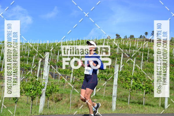 Buy your photos of the eventCIRCUITO DOS VINHEDOS - VINHOS DE ALTITUDE on Fotop
