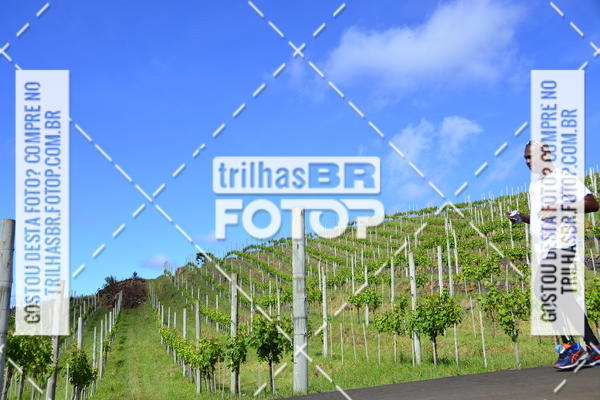 Buy your photos of the eventCIRCUITO DOS VINHEDOS - VINHOS DE ALTITUDE on Fotop