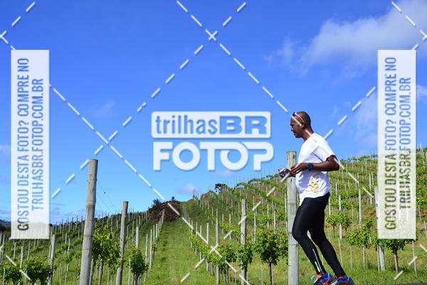 Buy your photos of the eventCIRCUITO DOS VINHEDOS - VINHOS DE ALTITUDE on Fotop