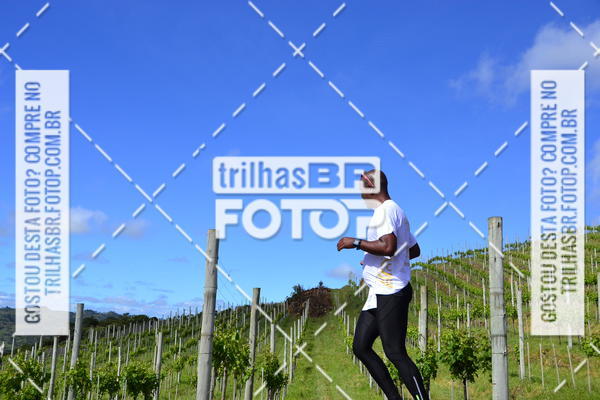 Buy your photos of the eventCIRCUITO DOS VINHEDOS - VINHOS DE ALTITUDE on Fotop