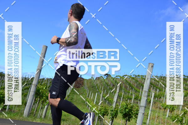 Buy your photos of the eventCIRCUITO DOS VINHEDOS - VINHOS DE ALTITUDE on Fotop