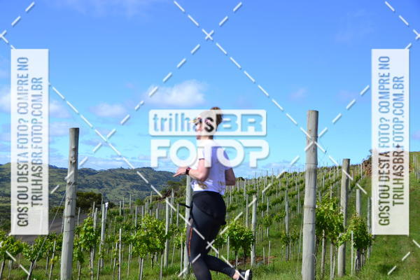 Buy your photos of the eventCIRCUITO DOS VINHEDOS - VINHOS DE ALTITUDE on Fotop