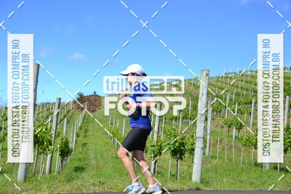 Buy your photos of the eventCIRCUITO DOS VINHEDOS - VINHOS DE ALTITUDE on Fotop
