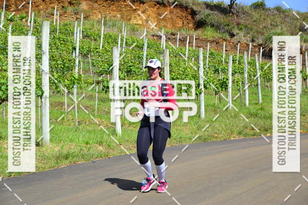 Buy your photos of the eventCIRCUITO DOS VINHEDOS - VINHOS DE ALTITUDE on Fotop