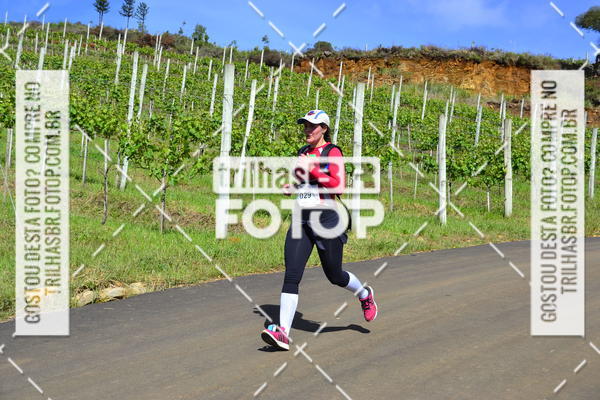 Buy your photos of the eventCIRCUITO DOS VINHEDOS - VINHOS DE ALTITUDE on Fotop