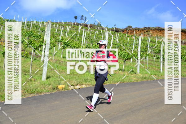 Buy your photos of the eventCIRCUITO DOS VINHEDOS - VINHOS DE ALTITUDE on Fotop