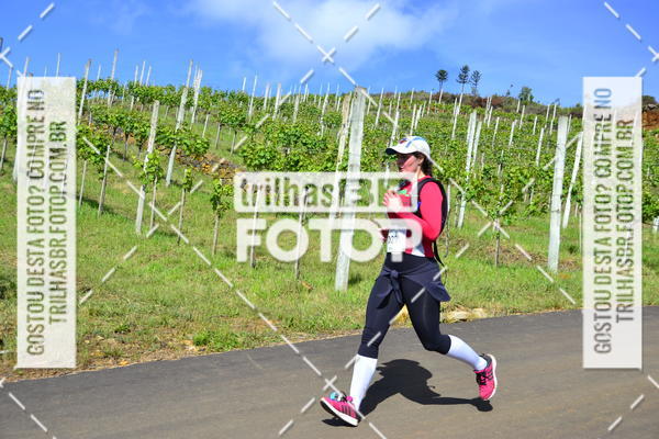 Buy your photos of the eventCIRCUITO DOS VINHEDOS - VINHOS DE ALTITUDE on Fotop