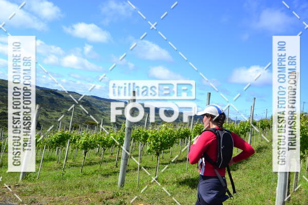 Buy your photos of the eventCIRCUITO DOS VINHEDOS - VINHOS DE ALTITUDE on Fotop