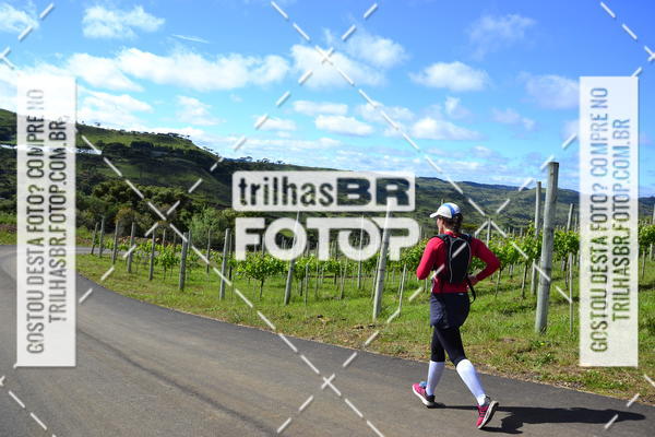 Buy your photos of the eventCIRCUITO DOS VINHEDOS - VINHOS DE ALTITUDE on Fotop