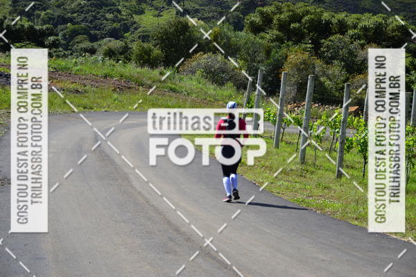 Buy your photos of the eventCIRCUITO DOS VINHEDOS - VINHOS DE ALTITUDE on Fotop