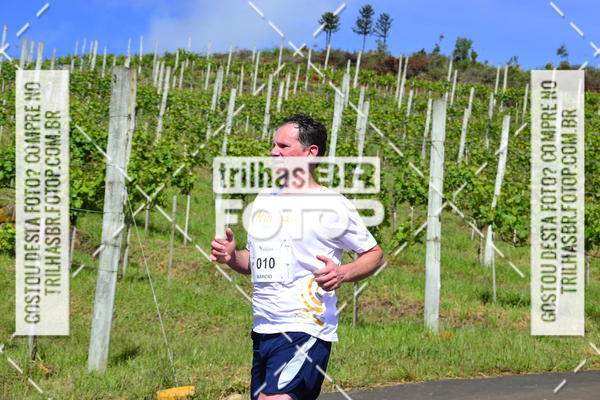 Buy your photos of the eventCIRCUITO DOS VINHEDOS - VINHOS DE ALTITUDE on Fotop