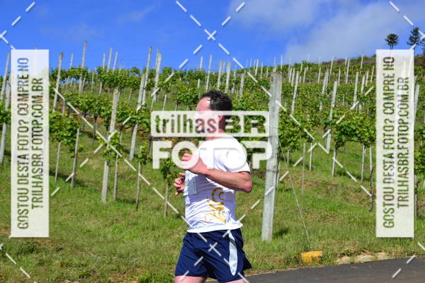 Buy your photos of the eventCIRCUITO DOS VINHEDOS - VINHOS DE ALTITUDE on Fotop