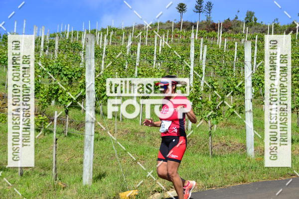 Buy your photos of the eventCIRCUITO DOS VINHEDOS - VINHOS DE ALTITUDE on Fotop