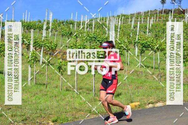 Buy your photos of the eventCIRCUITO DOS VINHEDOS - VINHOS DE ALTITUDE on Fotop