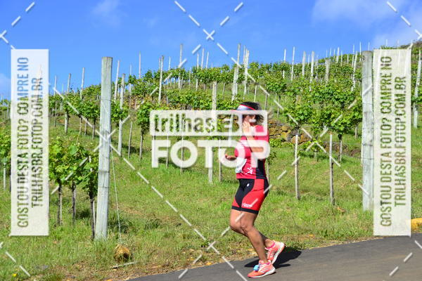 Buy your photos of the eventCIRCUITO DOS VINHEDOS - VINHOS DE ALTITUDE on Fotop