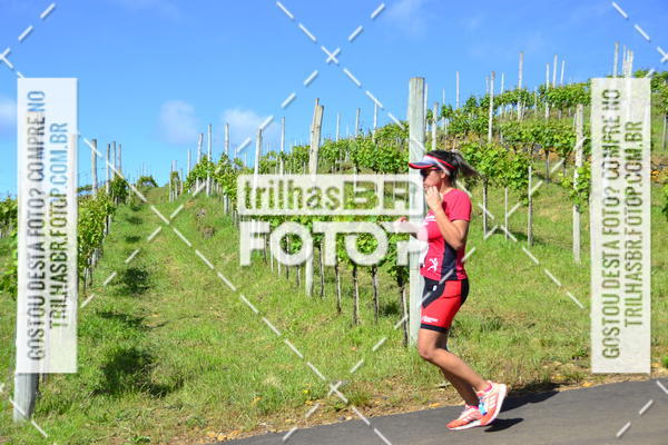 Buy your photos of the eventCIRCUITO DOS VINHEDOS - VINHOS DE ALTITUDE on Fotop