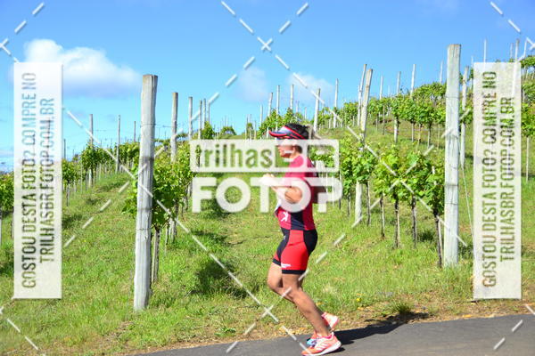Buy your photos of the eventCIRCUITO DOS VINHEDOS - VINHOS DE ALTITUDE on Fotop