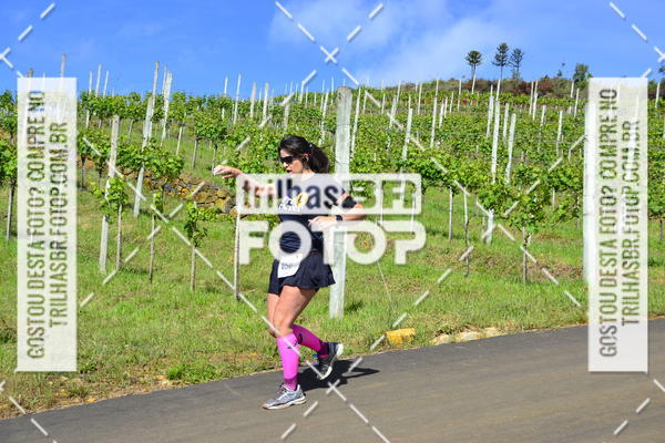 Buy your photos of the eventCIRCUITO DOS VINHEDOS - VINHOS DE ALTITUDE on Fotop