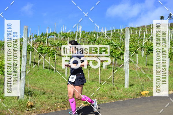 Buy your photos of the eventCIRCUITO DOS VINHEDOS - VINHOS DE ALTITUDE on Fotop