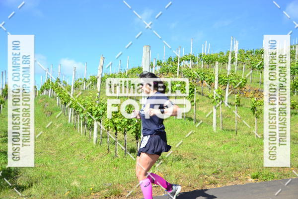 Buy your photos of the eventCIRCUITO DOS VINHEDOS - VINHOS DE ALTITUDE on Fotop