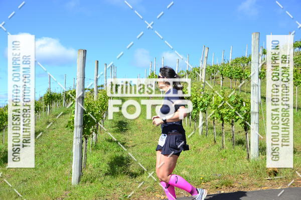 Buy your photos of the eventCIRCUITO DOS VINHEDOS - VINHOS DE ALTITUDE on Fotop