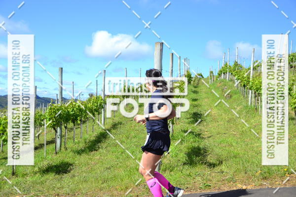 Buy your photos of the eventCIRCUITO DOS VINHEDOS - VINHOS DE ALTITUDE on Fotop