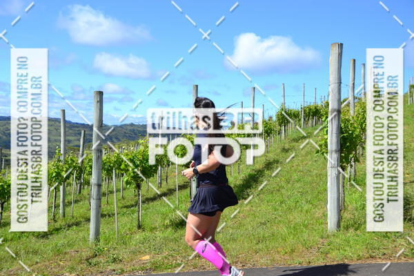 Buy your photos of the eventCIRCUITO DOS VINHEDOS - VINHOS DE ALTITUDE on Fotop