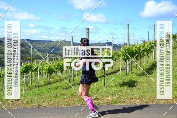 Buy your photos of the eventCIRCUITO DOS VINHEDOS - VINHOS DE ALTITUDE on Fotop