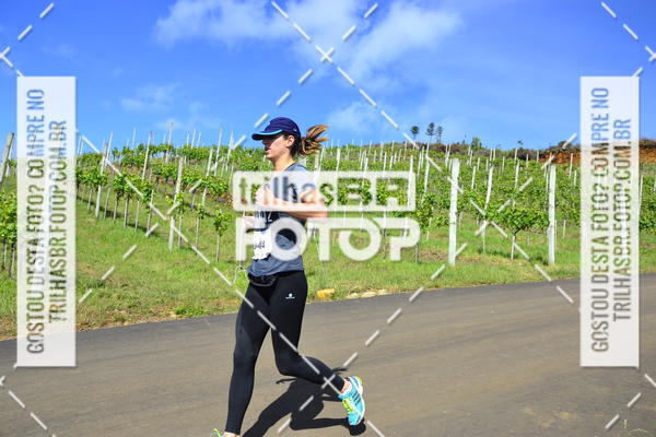 Buy your photos of the eventCIRCUITO DOS VINHEDOS - VINHOS DE ALTITUDE on Fotop