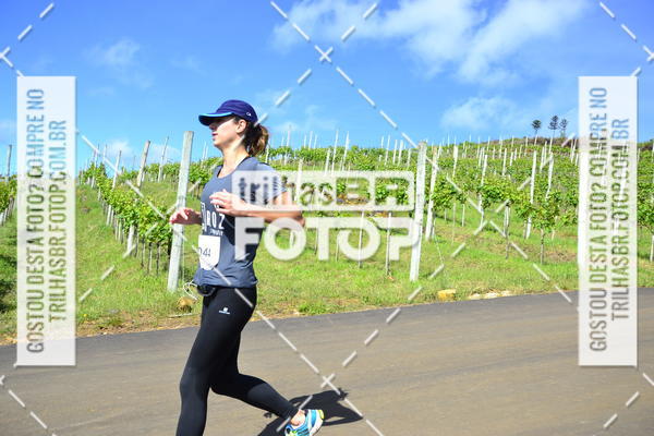 Buy your photos of the eventCIRCUITO DOS VINHEDOS - VINHOS DE ALTITUDE on Fotop