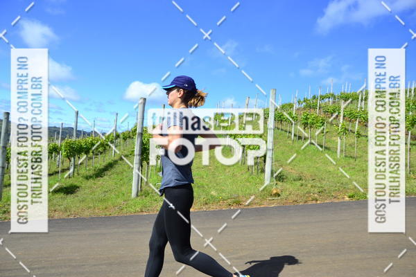 Buy your photos of the eventCIRCUITO DOS VINHEDOS - VINHOS DE ALTITUDE on Fotop
