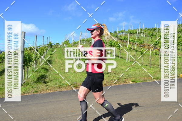 Buy your photos of the eventCIRCUITO DOS VINHEDOS - VINHOS DE ALTITUDE on Fotop