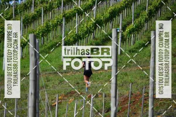 Buy your photos of the eventCIRCUITO DOS VINHEDOS - VINHOS DE ALTITUDE on Fotop