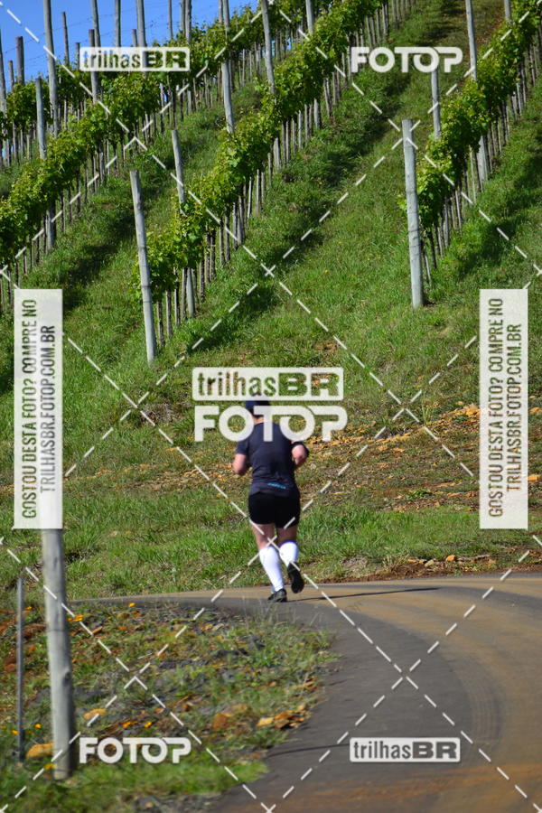 Buy your photos of the eventCIRCUITO DOS VINHEDOS - VINHOS DE ALTITUDE on Fotop