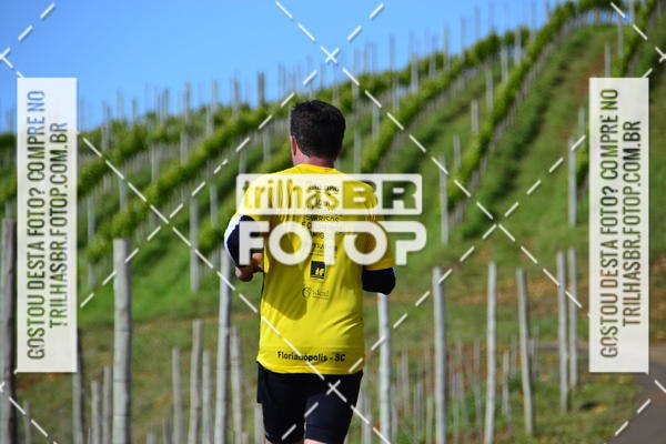 Buy your photos of the eventCIRCUITO DOS VINHEDOS - VINHOS DE ALTITUDE on Fotop