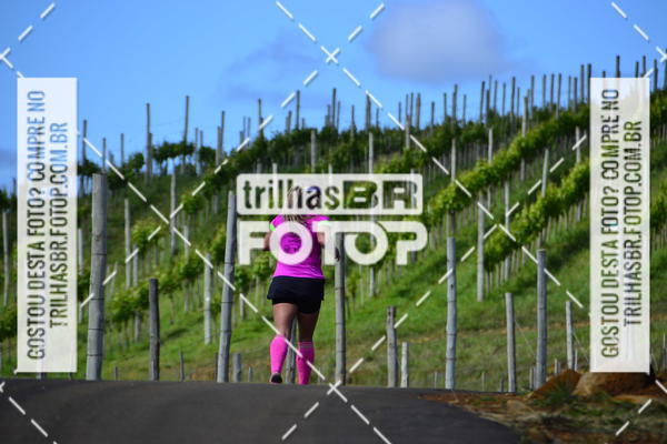 Buy your photos of the eventCIRCUITO DOS VINHEDOS - VINHOS DE ALTITUDE on Fotop