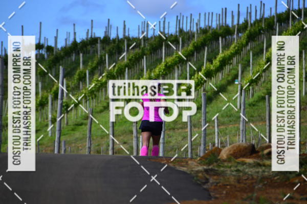 Buy your photos of the eventCIRCUITO DOS VINHEDOS - VINHOS DE ALTITUDE on Fotop