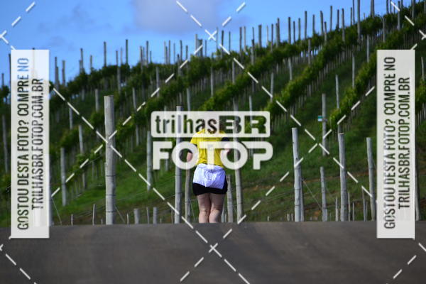 Buy your photos of the eventCIRCUITO DOS VINHEDOS - VINHOS DE ALTITUDE on Fotop