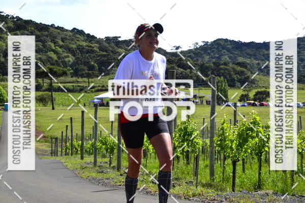 Buy your photos of the eventCIRCUITO DOS VINHEDOS - VINHOS DE ALTITUDE on Fotop