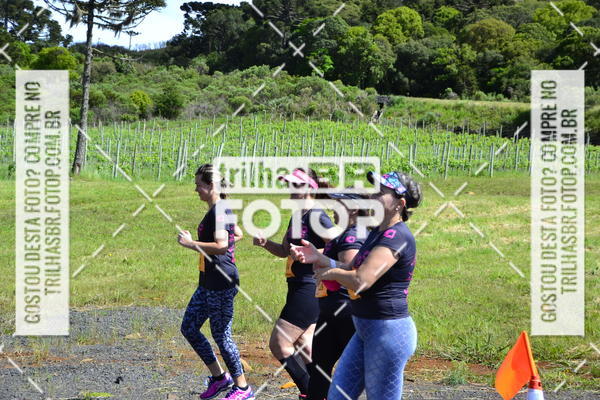 Buy your photos of the eventCIRCUITO DOS VINHEDOS - VINHOS DE ALTITUDE on Fotop