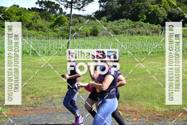 Buy your photos of the eventCIRCUITO DOS VINHEDOS - VINHOS DE ALTITUDE on Fotop