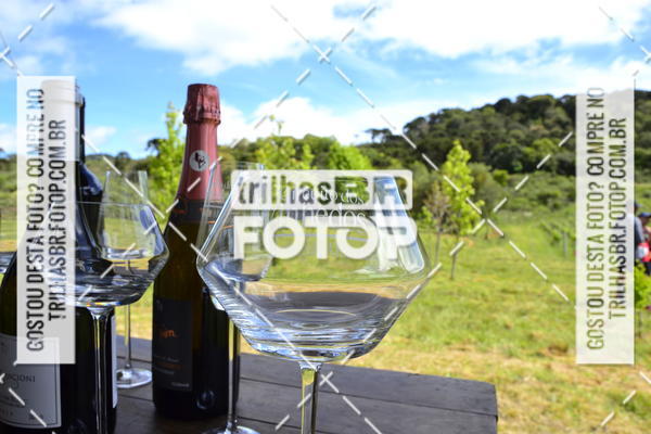 Buy your photos of the eventCIRCUITO DOS VINHEDOS - VINHOS DE ALTITUDE on Fotop