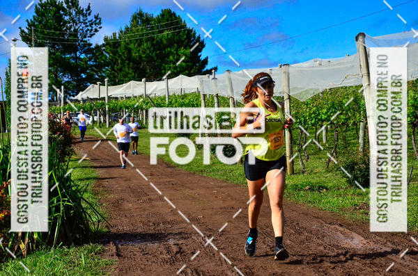 Buy your photos of the eventCIRCUITO DOS VINHEDOS - VINHOS DE ALTITUDE on Fotop