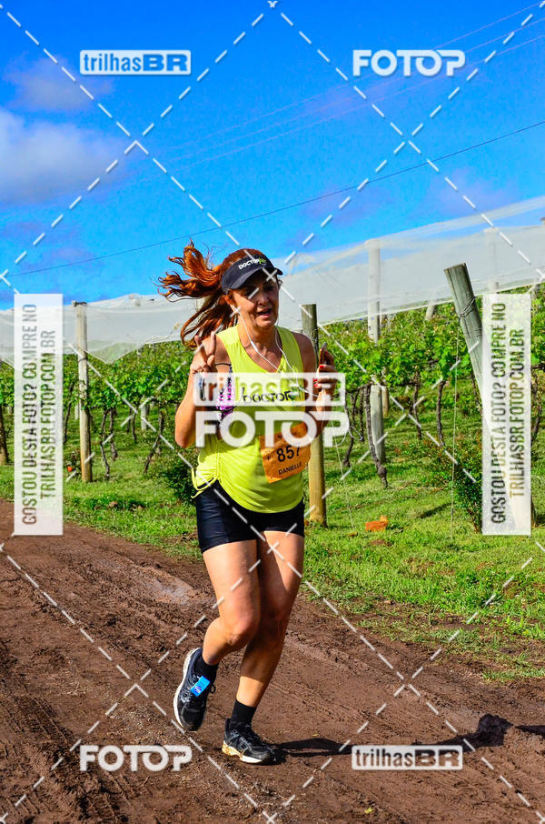 Buy your photos of the eventCIRCUITO DOS VINHEDOS - VINHOS DE ALTITUDE on Fotop