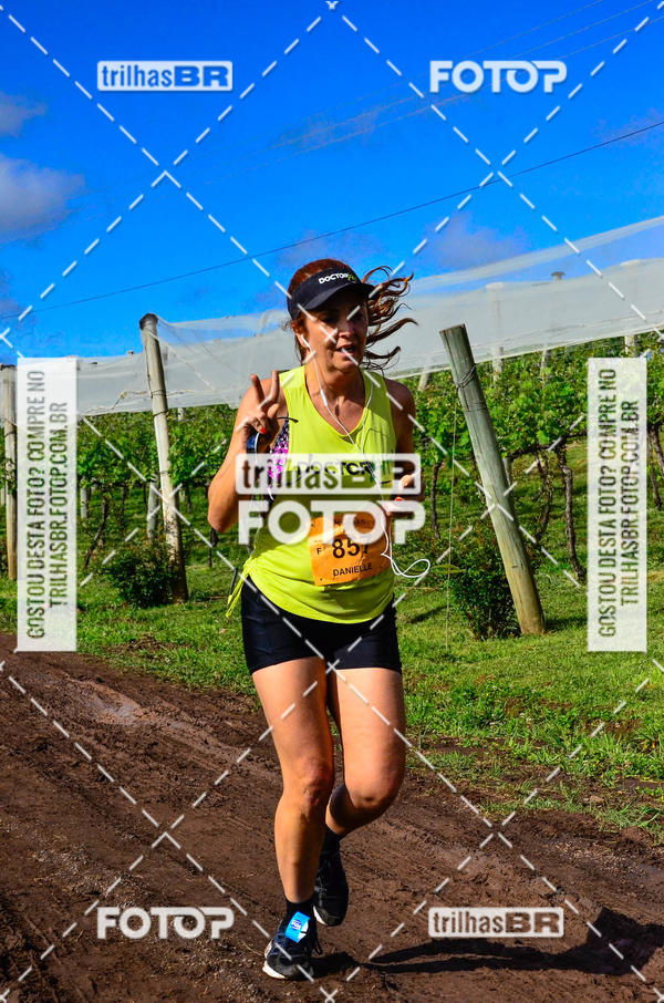 Buy your photos of the eventCIRCUITO DOS VINHEDOS - VINHOS DE ALTITUDE on Fotop