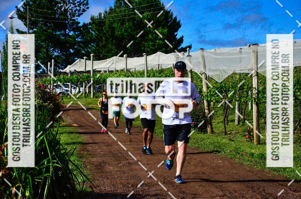 Buy your photos of the eventCIRCUITO DOS VINHEDOS - VINHOS DE ALTITUDE on Fotop