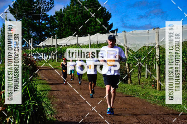 Buy your photos of the eventCIRCUITO DOS VINHEDOS - VINHOS DE ALTITUDE on Fotop