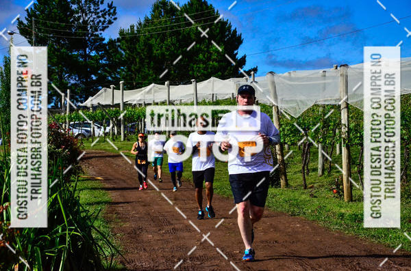 Buy your photos of the eventCIRCUITO DOS VINHEDOS - VINHOS DE ALTITUDE on Fotop